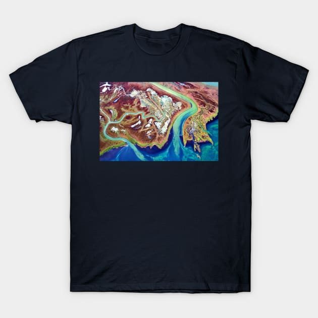 Veins of the Earth T-Shirt by Cretense72